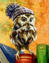 Owl with Cap